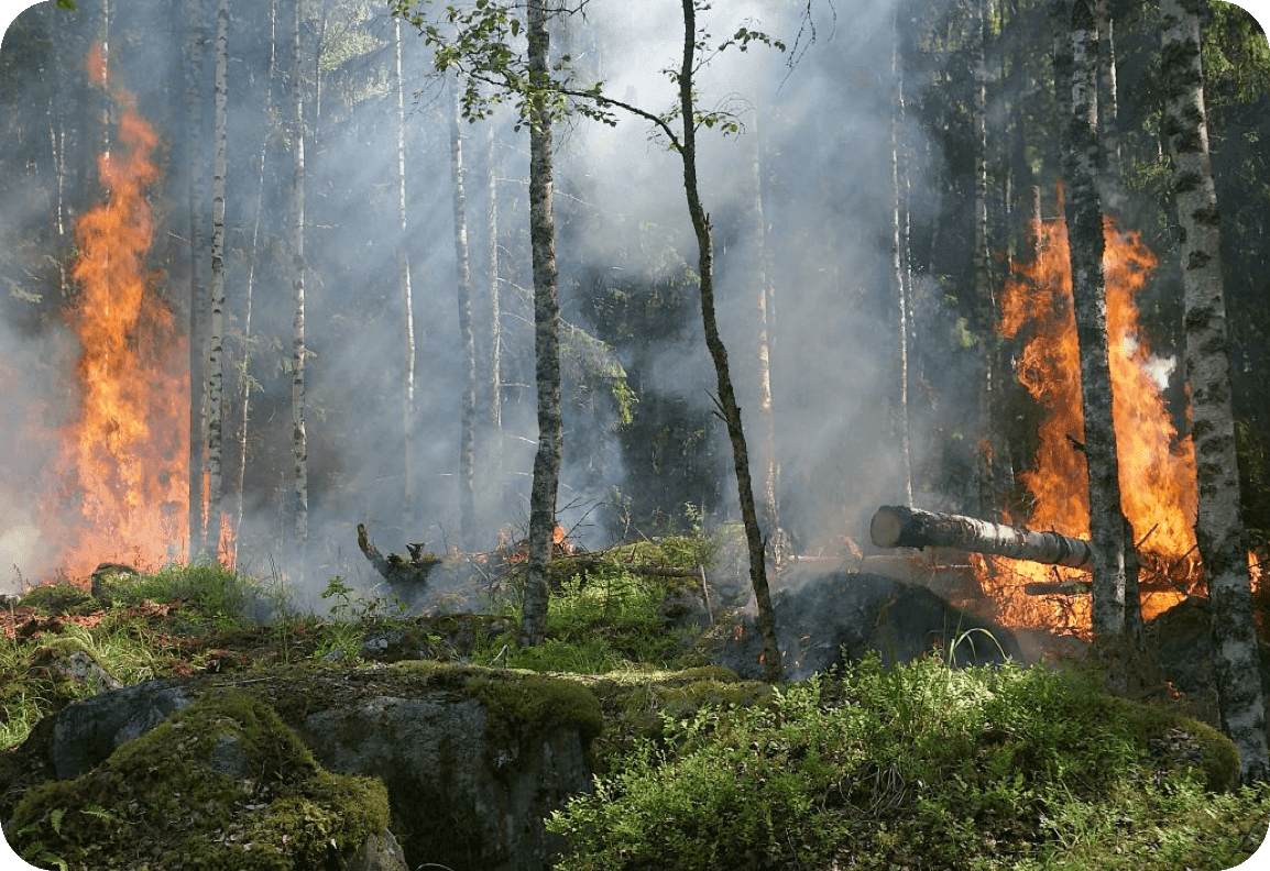 Fire and Smoke Early Warning