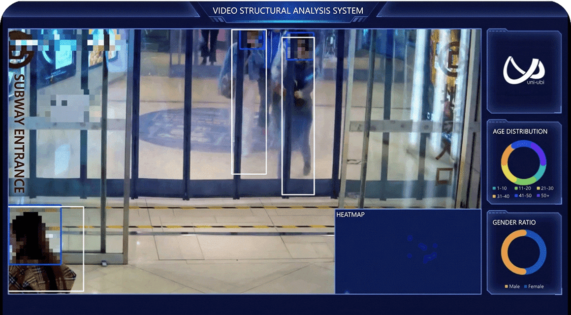 Video Intelligent Analysis Capability