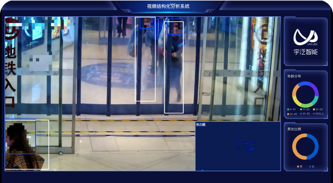 Video Intelligent Analysis Capability